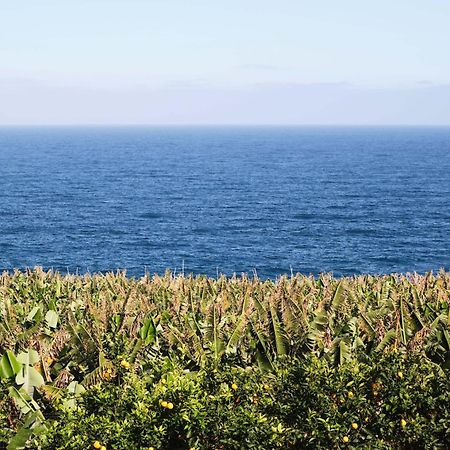 San Andres  El Convento II Tranquilidad Y Vistas Unicas 아파트 외부 사진