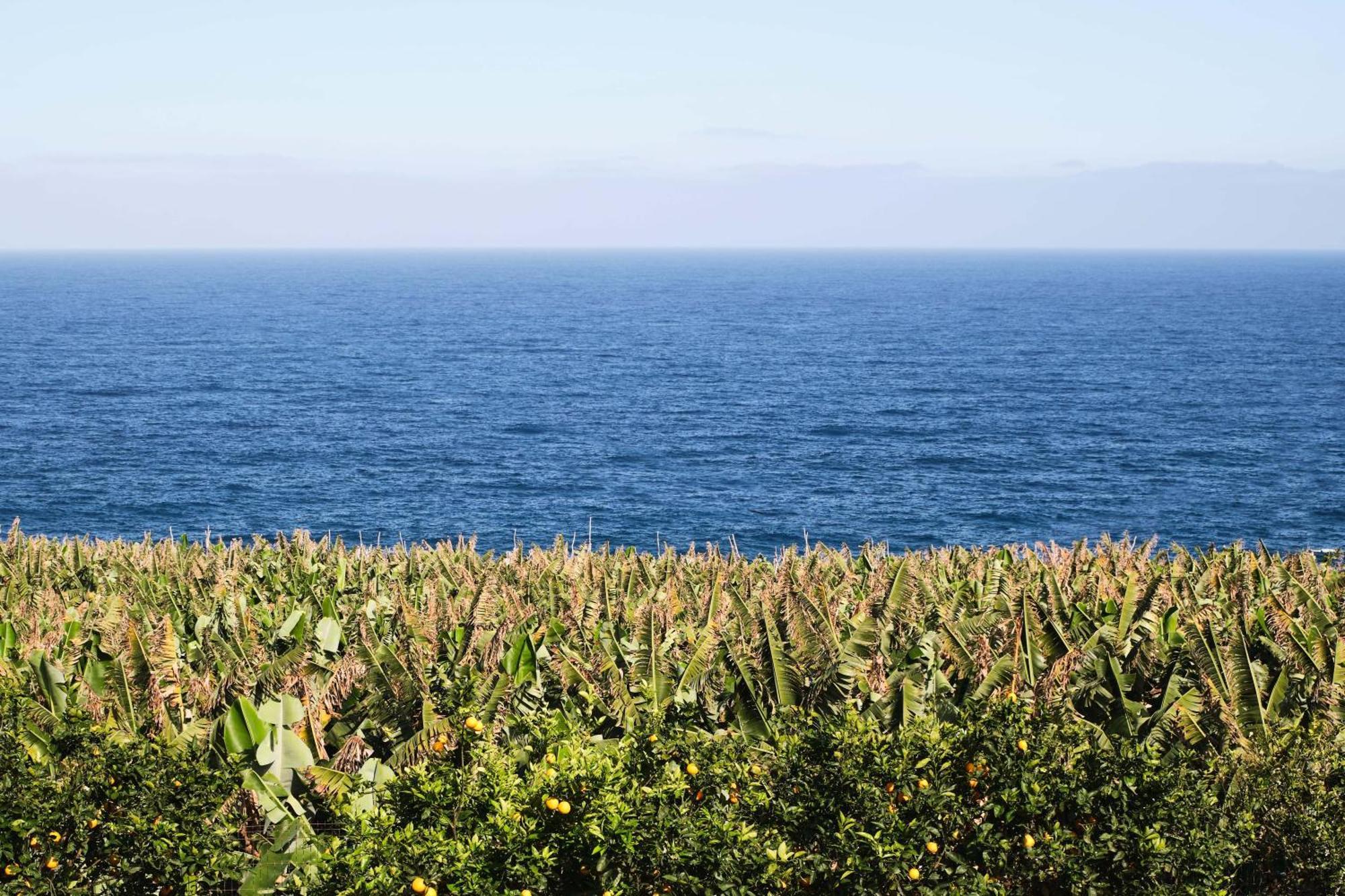 San Andres  El Convento II Tranquilidad Y Vistas Unicas 아파트 외부 사진